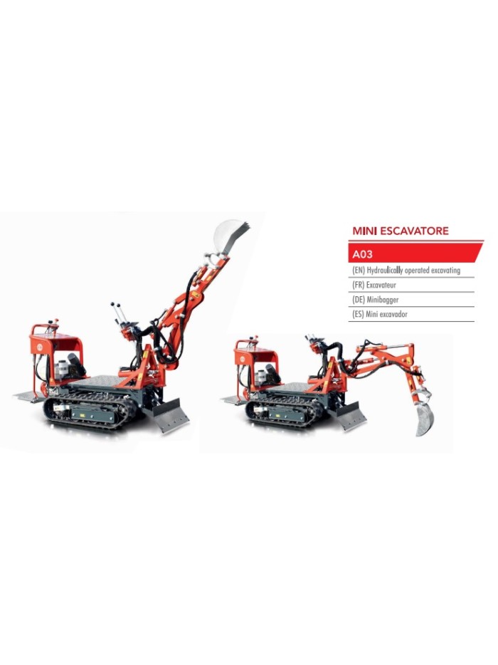 Transporter Con Mini Escavatore