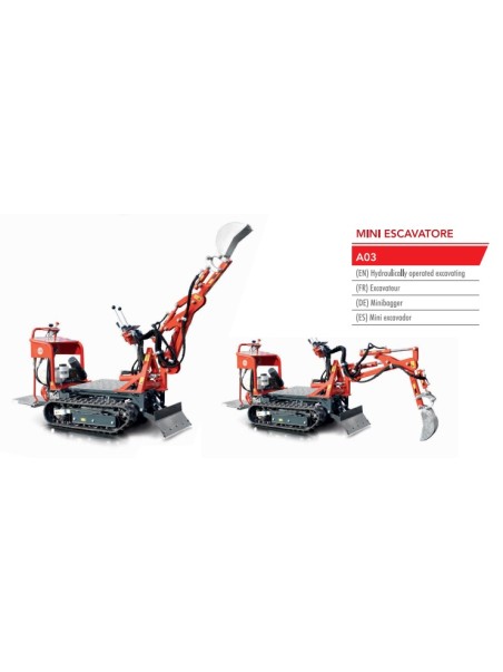 Transporter Con Mini Escavatore