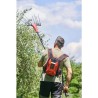 Abbacchiatore OLIMPO 23-56 AT + zainetto batt. 50.4v 18ah